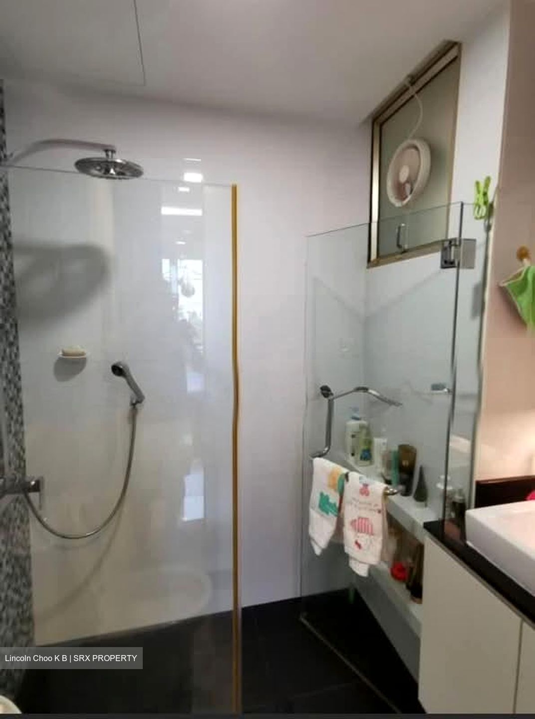 Astoria Park (D14), Condominium #572146531